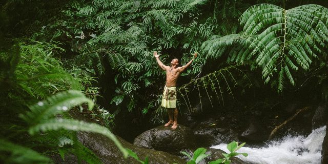 Nature Sauvage, vallée de Papenoo - Tahiti Tourisme © Myles Mcguinness