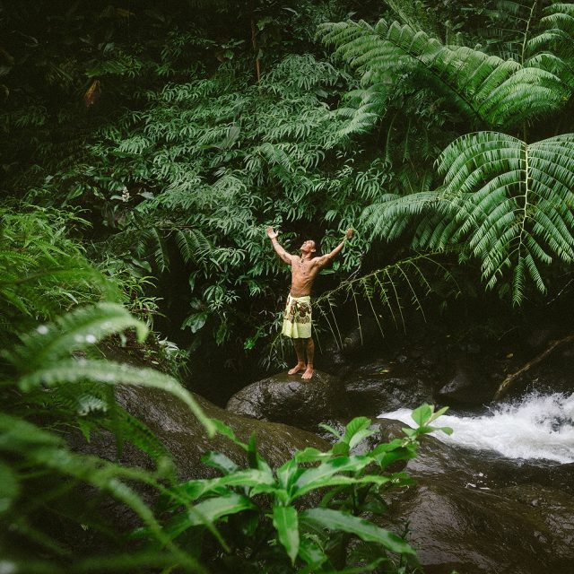 Nature Sauvage, vallée de Papenoo - Tahiti Tourisme © Myles Mcguinness