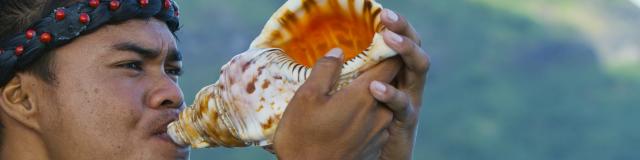 Coquillage - Tahiti Tourisme © Grégoire Le Bacon