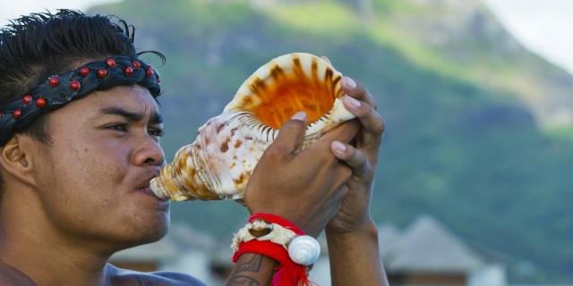 Coquillage - Tahiti Tourisme © Grégoire Le Bacon