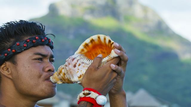 Coquillage - Tahiti Tourisme © Grégoire Le Bacon