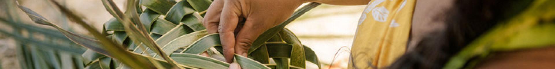 Polynesian Hat Weaving - Tahiti Tourisme © Myles Mcguinness