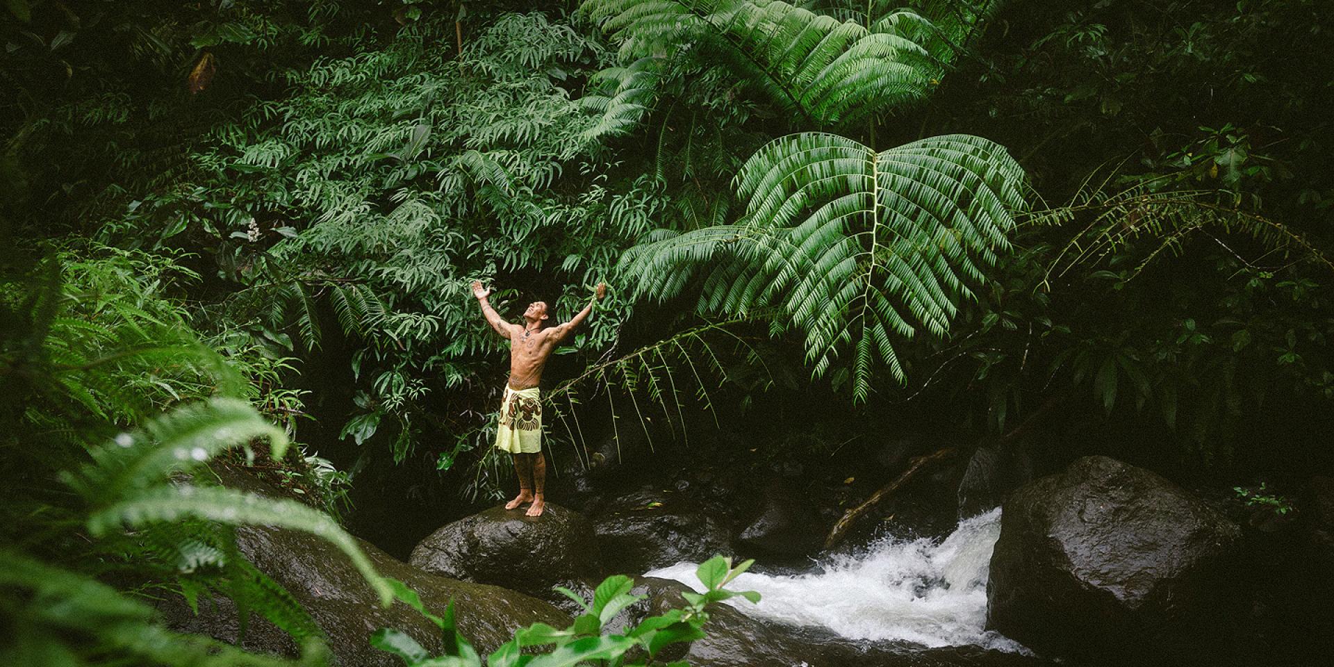 Untamed Nature, Valley of Papenoo - Tahiti Tourisme © Myles Mcguinness