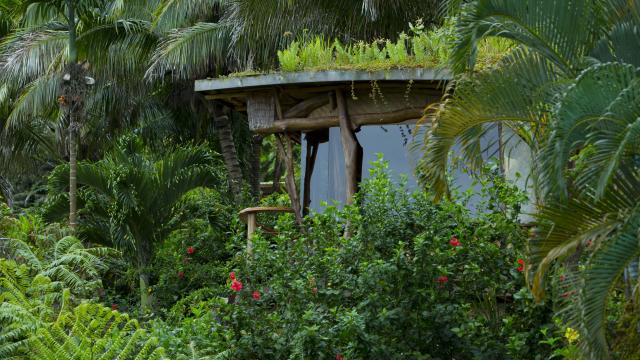 Petite Hôtellerie Familiale à Tahiti Iti Tahiti Tourisme © Grégoire Le Bacon