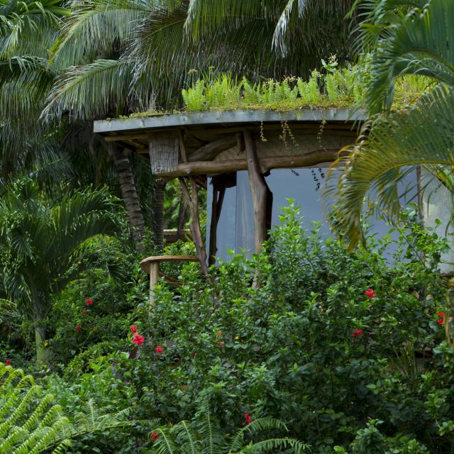 Petite Hôtellerie Familiale à Tahiti Iti Tahiti Tourisme © Grégoire Le Bacon