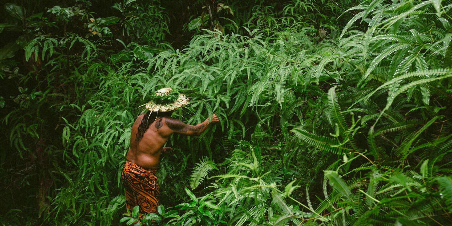 Vallée De Papenoo à Tahiti© Myles Mcguinness