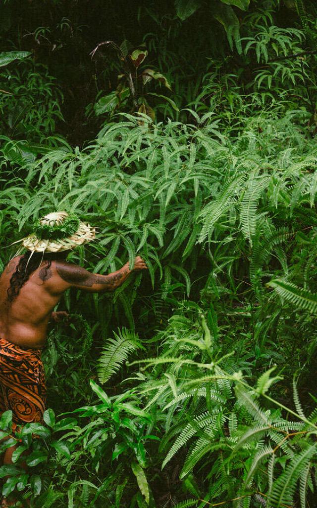 Vallée De Papenoo à Tahiti© Myles Mcguinness