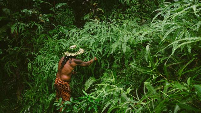Vallée De Papenoo à Tahiti© Myles Mcguinness