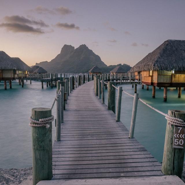 Vue Sur Le Mont Otemanu Bora Bora © Myles Mcguinness