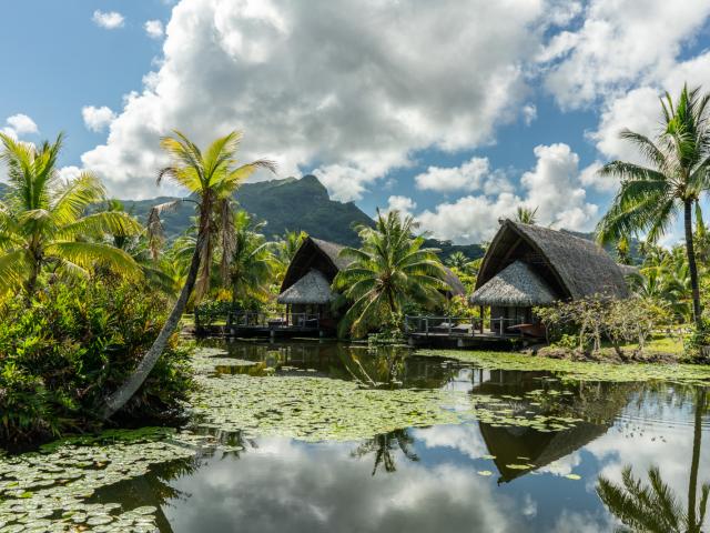 Jardin Du Maitai Lapita Village De Huahine - Tahiti Tourisme