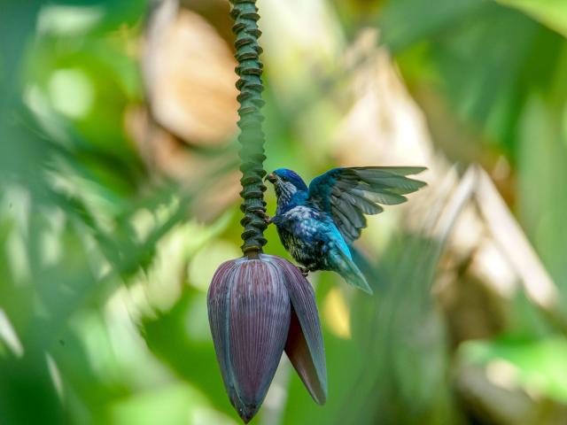 Pihiti De Ua Huka - Tahiti Tourisme © Viki Ura Tuihei