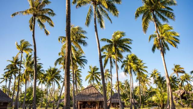 Rangiroa © Stephane Mailion Photography