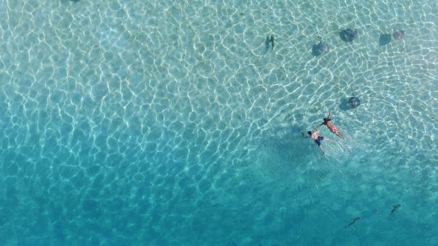 Snorkeling à Moorea Tahiti Tourisme © Matarai Technicals