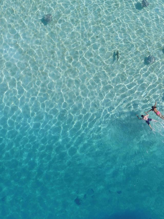 Snorkeling in Moorea Tahiti Tourisme © Matarai Technicals