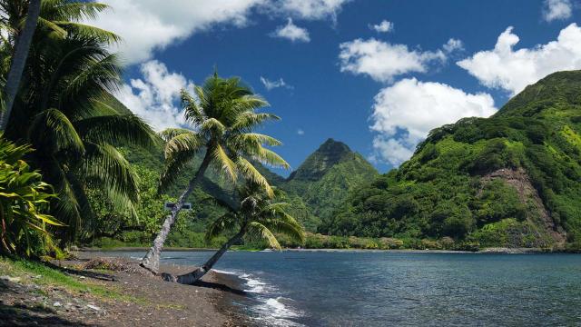 Tere I Te Fenua ‘aihere – à La Découverte Des Richesses Cachées De Tahiti Iti