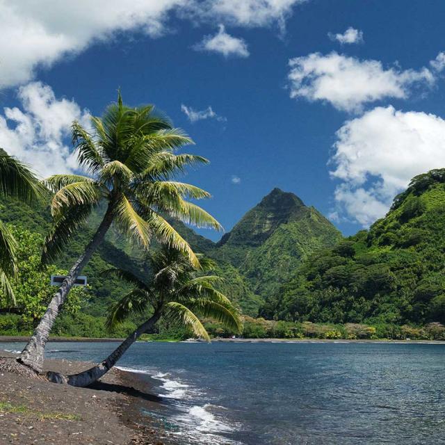 Tere I Te Fenua ‘aihere – à La Découverte Des Richesses Cachées De Tahiti Iti