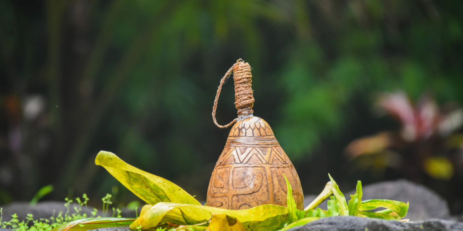 Tere Na Uta 2021 - Papenoo Tahiti Tourisme