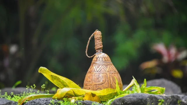 Tere Na Uta 2021 - Papenoo - Tahiti Tourisme