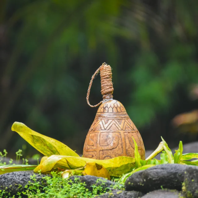 Tere Na Uta 2021 - Papenoo Tahiti Tourisme