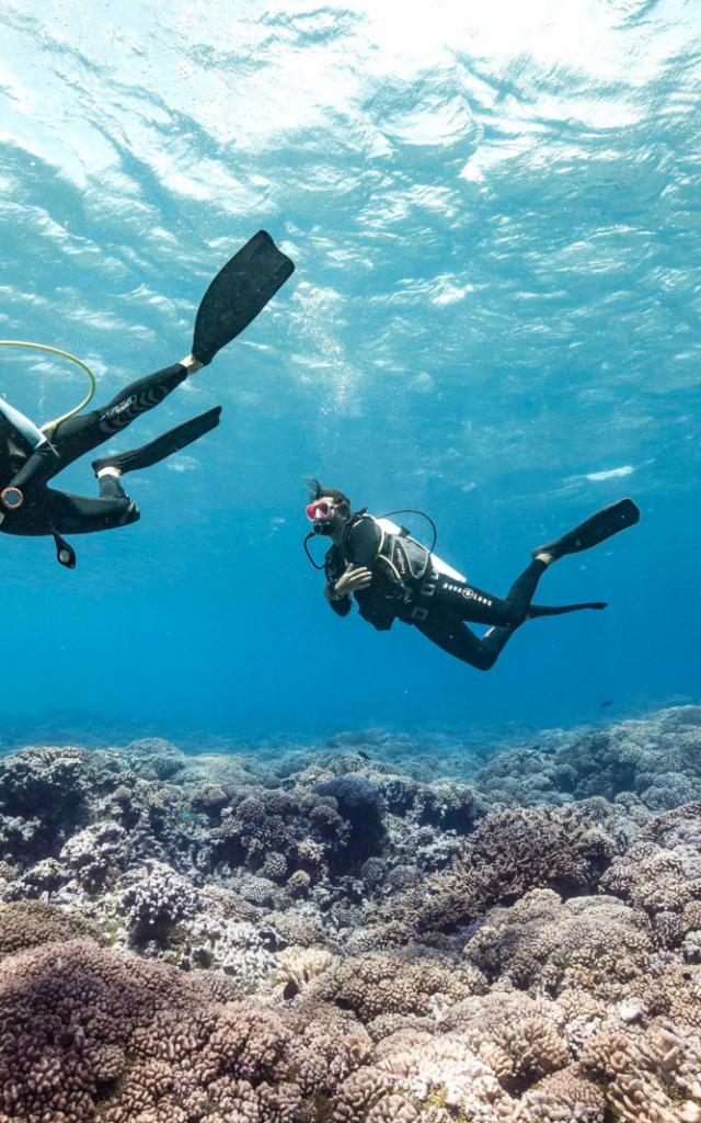 Une Petite Plongée à Fakarava - Tahiti Tourisme © Alexandre Voyer