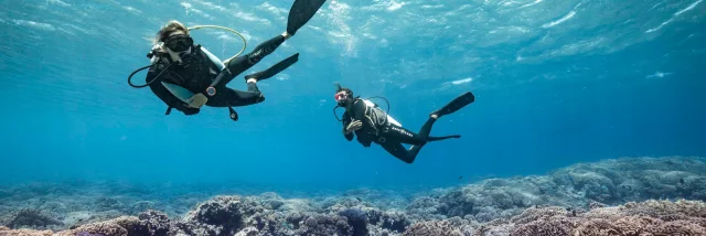 Diving in Fakarava - Tahiti Tourisme © Alexandre Voyer