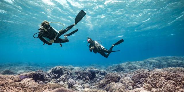 Une Petite Plongée à Fakarava - Tahiti Tourisme © Alexandre Voyer