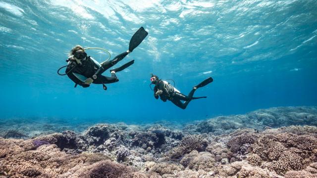 Une Petite Plongée à Fakarava - Tahiti Tourisme © Alexandre Voyer