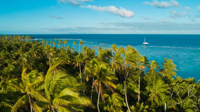 P2 Tetiaroa 54 Tt Charter Nautique Tetiaroa Dji 0794 Tahiti Fly Shoot 4856x3640 1