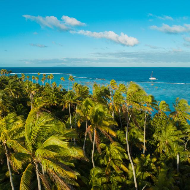 P2 Tetiaroa 54 Tt Charter Nautique Tetiaroa Dji 0794 Tahiti Fly Shoot 4856x3640 1