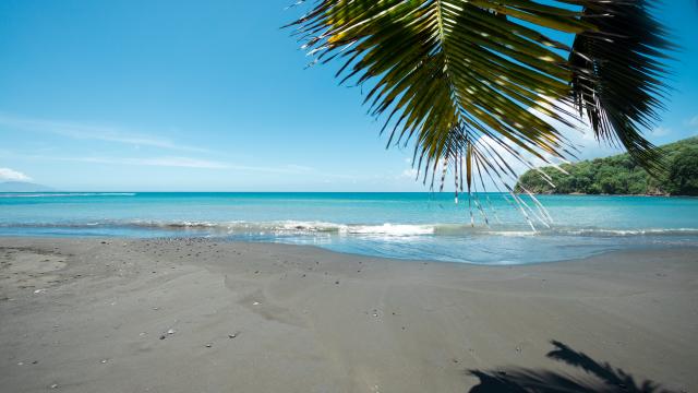 P2_TAHITI_00005_TAHITI_©_Gregoire-Le-Bacon.jpg