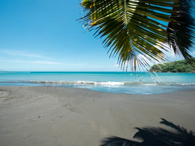 P2_TAHITI_00005_TAHITI_©_Gregoire-Le-Bacon.jpg