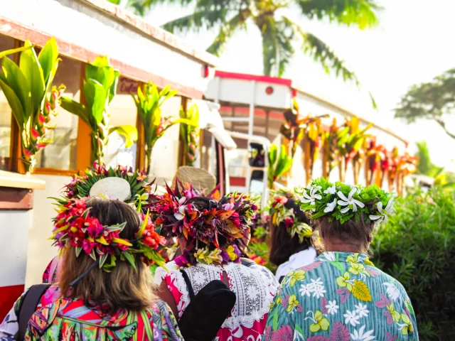Tere Fa'a'ati ia Tahiti Nui © Teriitua Maoni