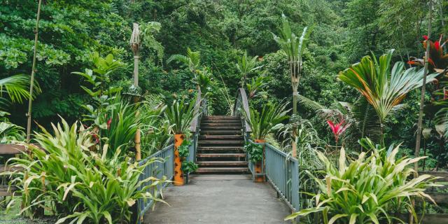 Tiare à Tahiti © Tahiti Tourisme