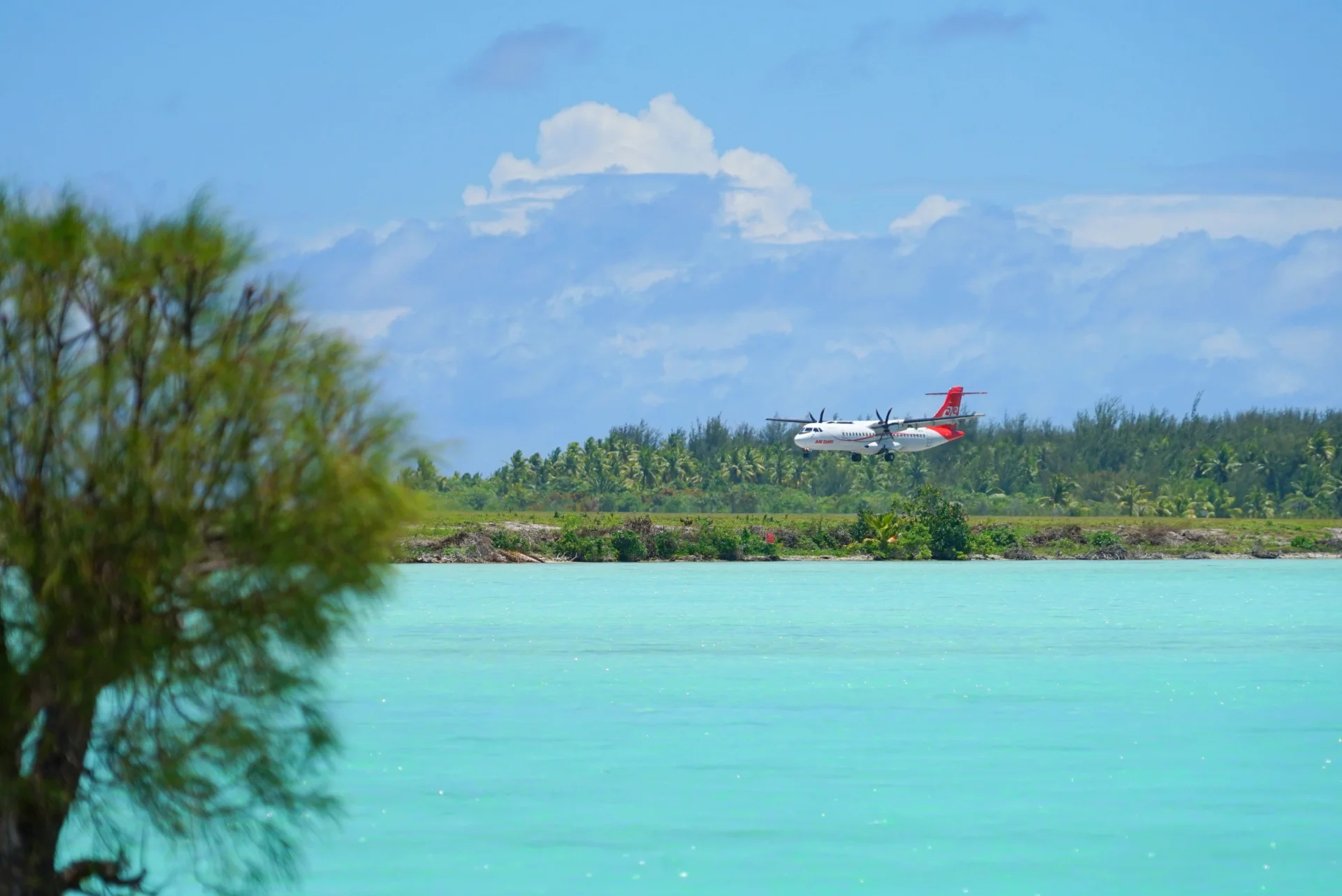 Bora Bora Lei Tao