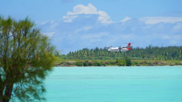 Bora Bora Lei Tao