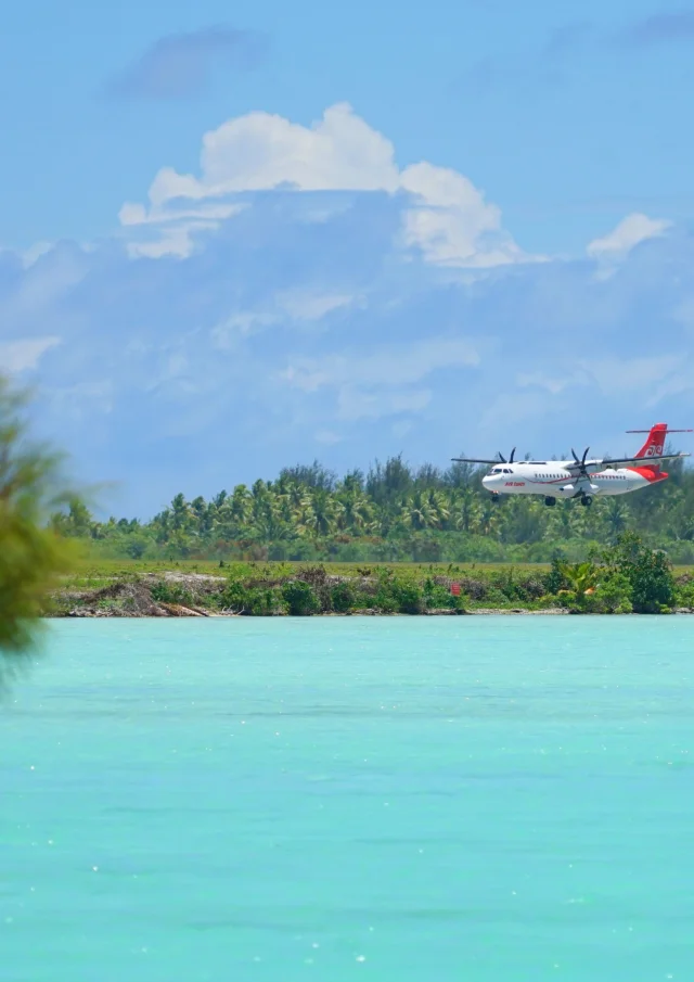 Bora Bora Lei Tao