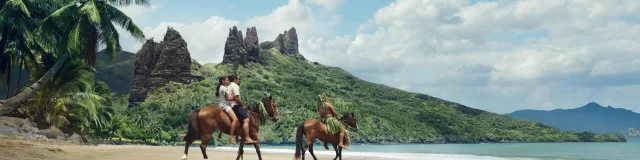 Nuku Hiva Horses On The Beach