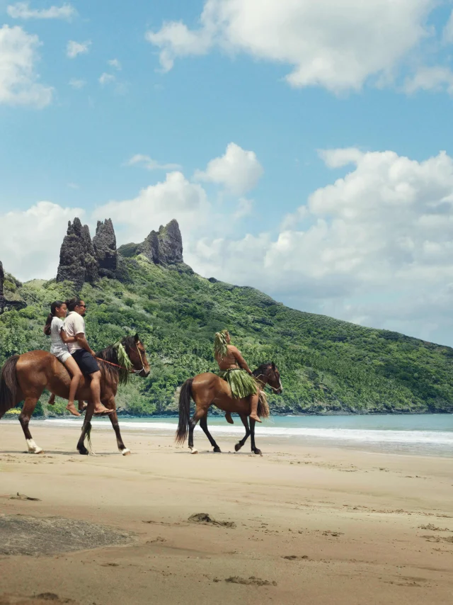 Nuku Hiva Horses On The Beach