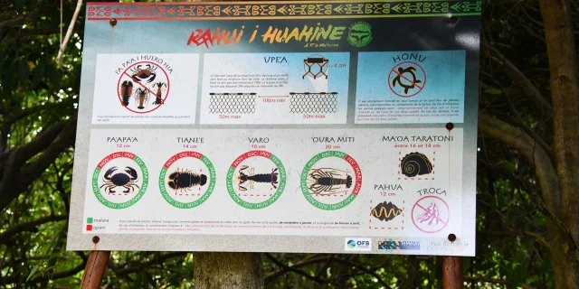 HUAHINE - Association Team Jeunesse de Parea